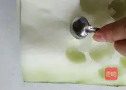 Illustration of braised winter melon balls 1