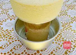 Yoghurt Cheesecake Recipe Illustration 11