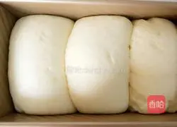 Milk toast bread recipe 13