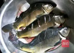 Illustration of how to make black bean carp 1