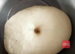 Argentine red shrimp pizza recipe 6