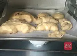 Milk Raisin Bread Recipe Illustration 9