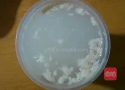 Michel's Cocoa Bread Recipe Illustration 2