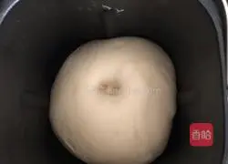 Illustration of how to make Marisula cheese and meat floss bread 5