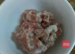 Illustration of how to make mushroom and minced meat and ham pizza 5