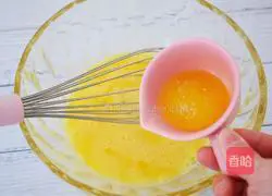 Apple Thousand Crepe Cake Recipe Illustration 4