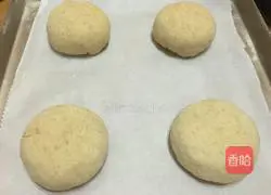 Top European bread--Illustration of making rye cheese balls 13