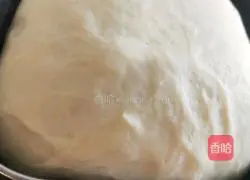 Pizza (fruit, ham and shrimp) recipe illustration 2