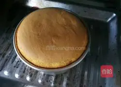 Chiffon Cake Practice illustration 6