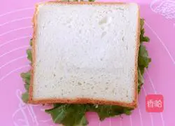 Tuna sandwich recipe 11
