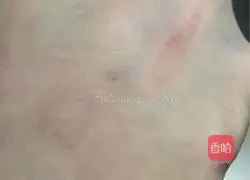 Illustration of how to make meat floss bread 6