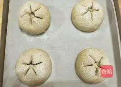 Top European Bread - Illustration of Rye Cheese Balls 14