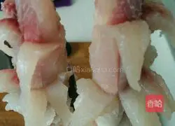 Squirrel Gui Illustration of the fish home version 2