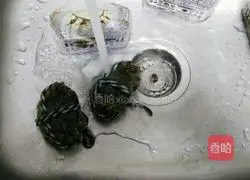 Autumn food supplement ※Illustration of steamed hairy crabs 3