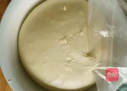 Cheese and ham bread recipe 6