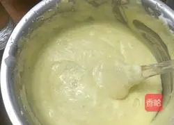 Six Inch Chiffon's Practice illustration 13