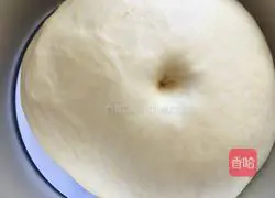 Pumpkin Bread Recipe Illustration 7