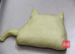 Cat Whole Wheat Honey Bread Recipe Illustration 10