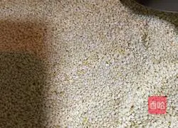 Illustration of how to make spicy oily spicy seeds that are only fragrant but not spicy.5