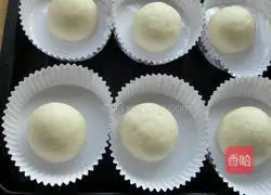 Orleans Chicken Leg Burger Recipe Illustration 3