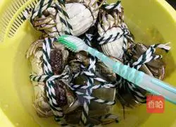 Illustration of steamed hairy crabs 1