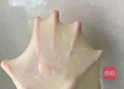 Illustration of how to make white bread 4