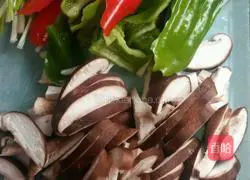 Colorful Braised Chicken Recipe Illustration 3