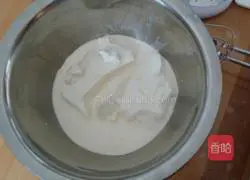 Illustration of how to make frozen yogurt cheesecake 2