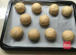 Whole wheat bread recipe 10