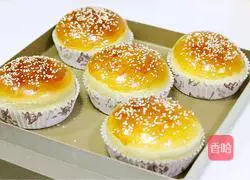 Illustration of how to make hamburger embryos (medium seeding method) 14