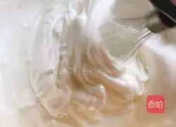 Yoghurt Blueberry Cotton Cake Recipe Illustration 8