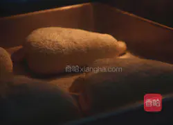 Cat Whole Wheat Honey Bread Illustration 12