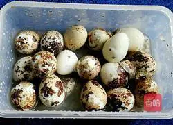 Yuanbao Meat cooking illustration 5