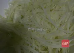 Thai Papaya Salad Recipe Illustration 2