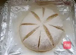 Daliaba Whole Wheat Bread Recipe Illustration 6