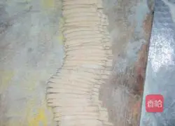 Fruit and vegetable pickles Illustration of making cold noodles 10