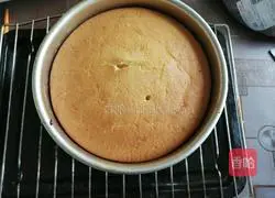 Yoghurt chiffon cake recipe 9