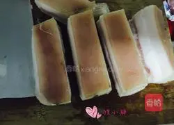 Illustration of braised ingot pork 3