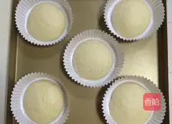 Illustration of how to make hamburger embryos (medium seeding method) 9