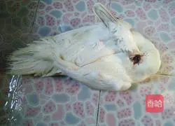 How to make white-cut duck in Zhanjiang Illustration 2