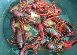 Illustration of how to make steamed lobster 4