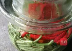 Illustration of how to pickle kimchi 4