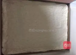 Chicken King Oyster Mushroom Pizza Recipe Illustration 9