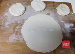 Chicken roll recipe 5