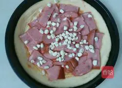 Assorted pizza recipes 6