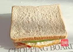 Lunch Meat and Egg Sandwich Recipe Illustration 13