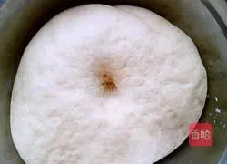 Illustration of how to make sausage pizza 2