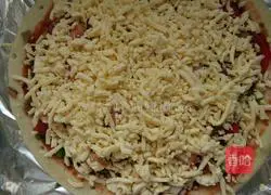 Illustration of homemade delicious pizza 4