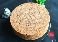 Cocoa chocolate cake recipe 22