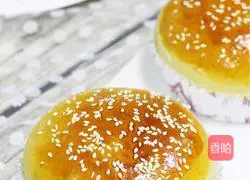 Illustration of how to make hamburger embryos (medium seeding method) 16